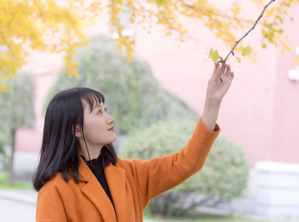 菲律宾籍拳王 拳王历史有哪些